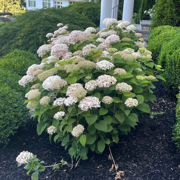 Meet your Posher, Natalie - Picture 1 of 1